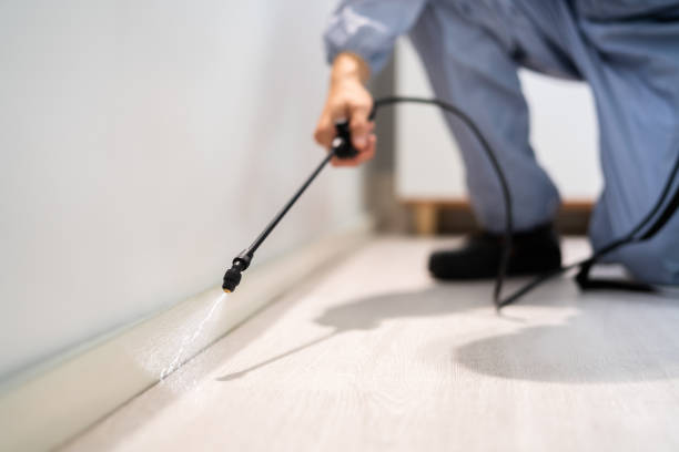 Licensed Cockroach Control service in Edwardsville, PA - Nex Pest Control